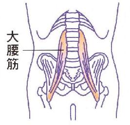 腹囲減少作戦